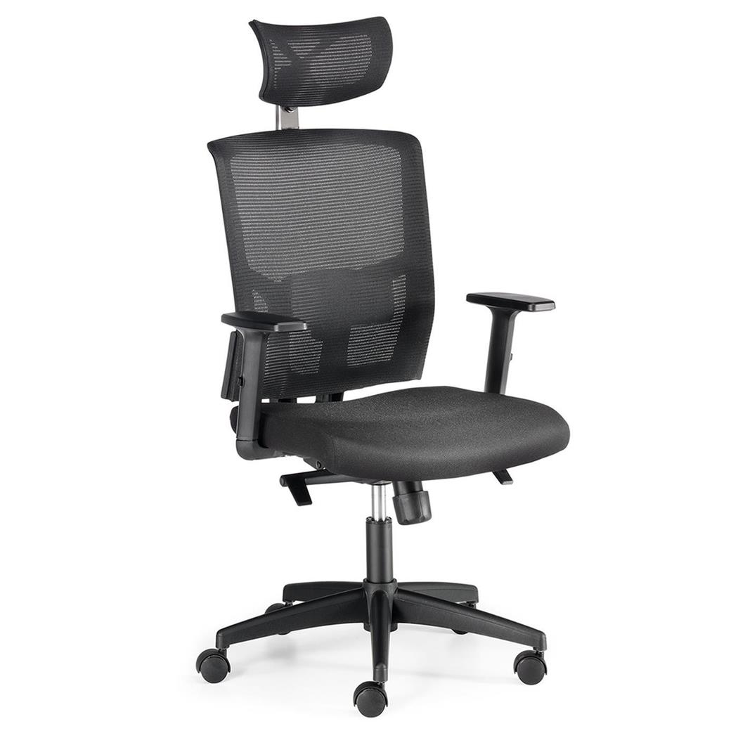 Cadeira Ergonómica EYDA, Suporte Lombar Integrado, Apoia Cabeças, Uso de 8H, Cor Preto