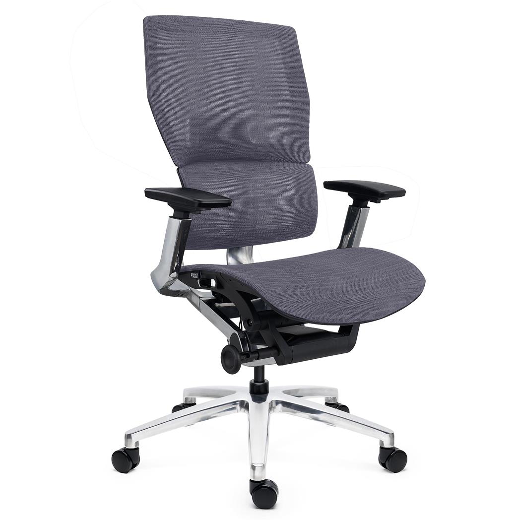 Cadeira Ergonómica ERGOPLUS, Máxima Ergonomia, Uso Profissional Intensivo de 8H, Cor Cinza