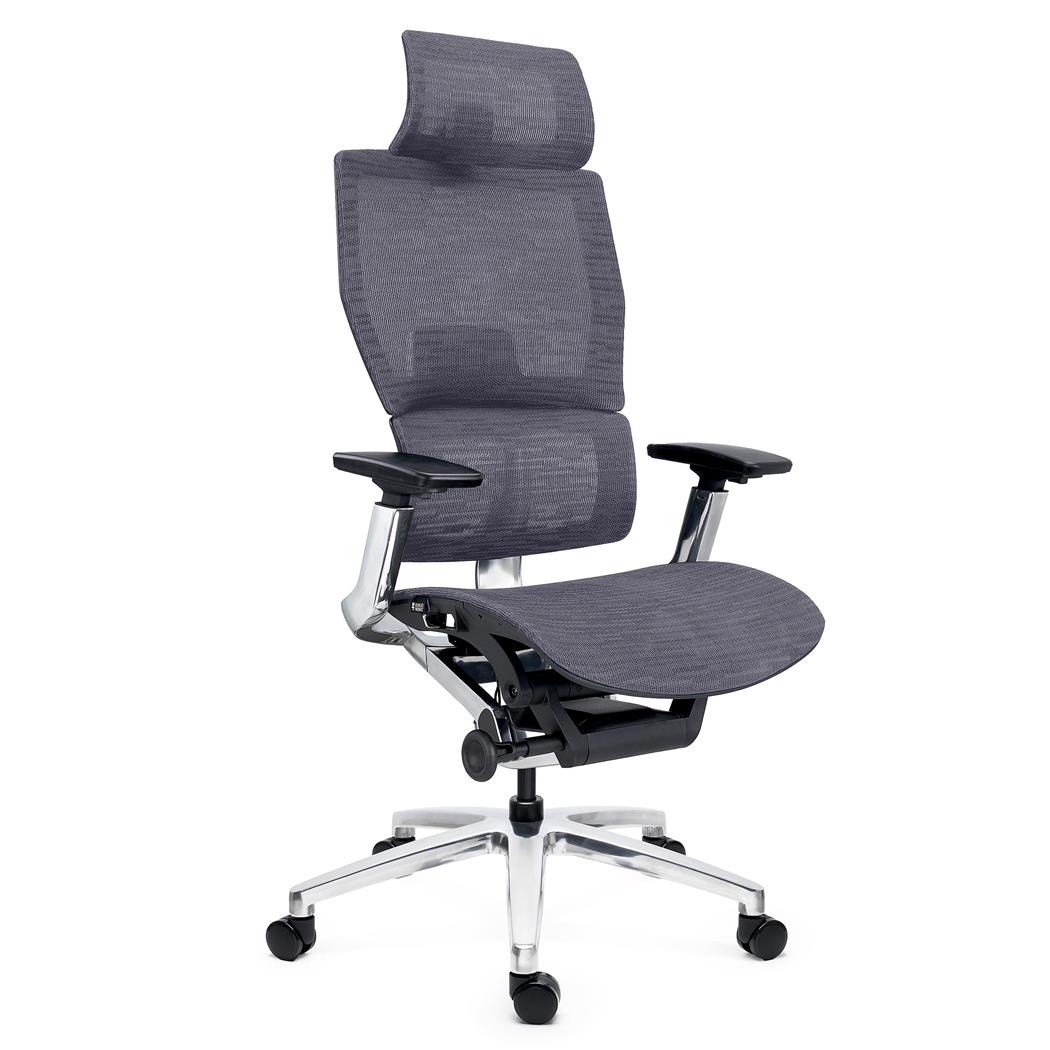 Cadeira Ergonómica ERGOPLUS C, Máxima Ergonomia, Uso Profissional Intensivo de 8H, Cor Cinza