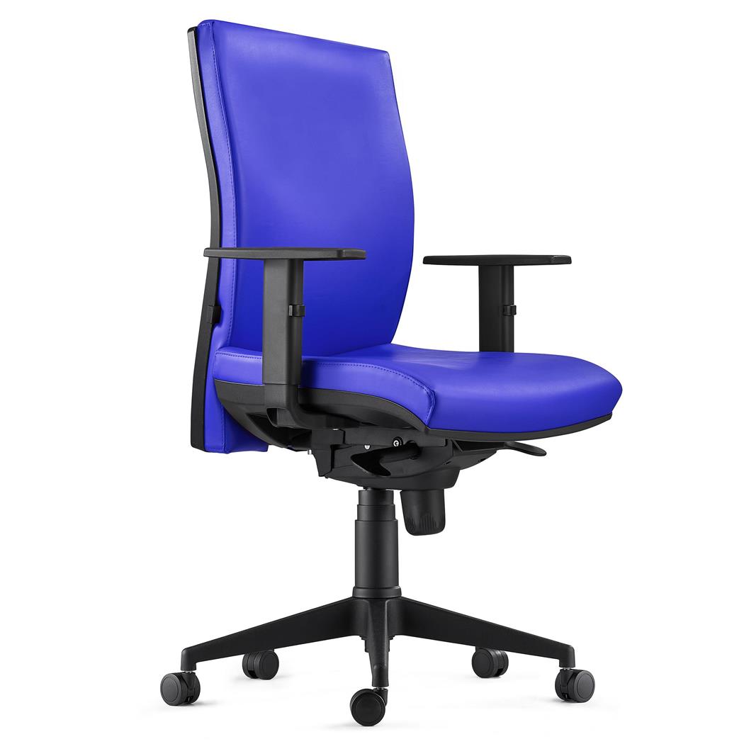 Cadeira ergonómica KEVIN, em Pele Azul, com Apoio Lombar