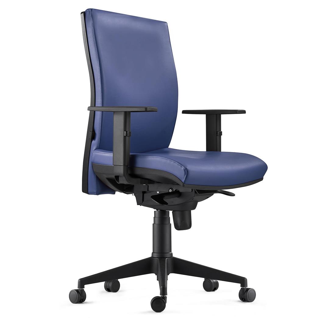 Cadeira ergonómica KEVIN, em Pele Natural Azul, com Apoio Lombar