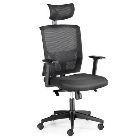 Cadeira Ergonómica EYDA, Suporte Lombar Integrado, Apoia Cabeças, Uso de 8H, Cor Preto