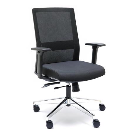 Cadeira de Escritório ALBI, Apoio Lombar Ajustável, Ergonomia, Uso Profissional 8H, Cor Preto