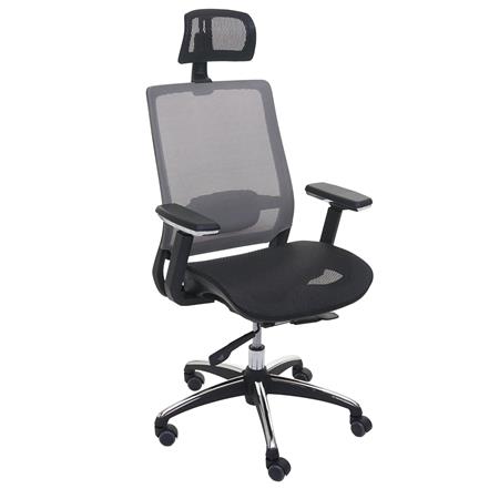 DEMO# Cadeira Ergonómica NUTAL, Totalmente Ajustável, Suporte Lombar, Em Cor Preto/Cinza