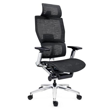 Cadeira Ergonómica ERGOPLUS C, Máxima Ergonomia, Uso Profissional Intensivo de 8H, Cor Preto