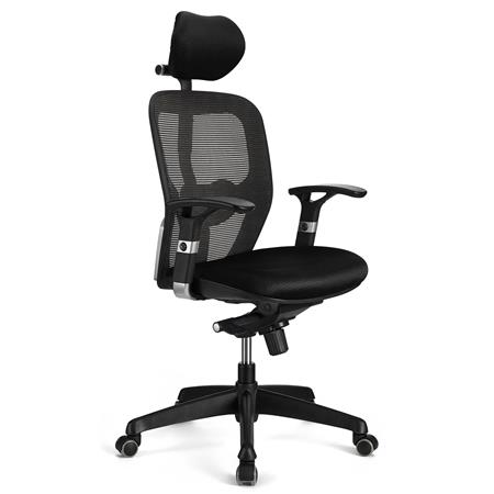 Cadeira Ergonómica FELIX PRO, Suporte Lombar Ajustável, Adequada uso 8h, Em Preto